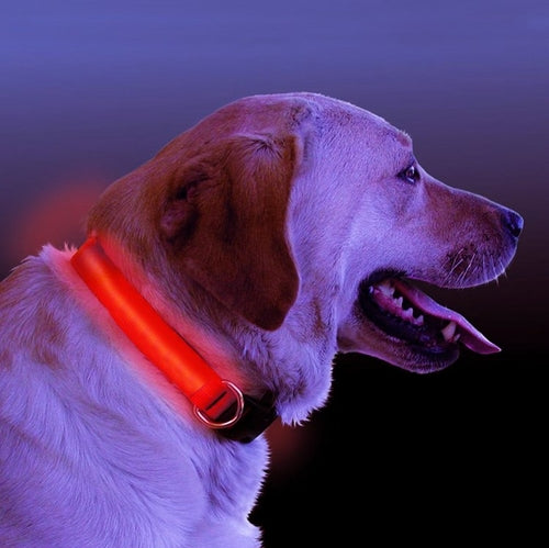 LED beleuchtetes Hundehalsband