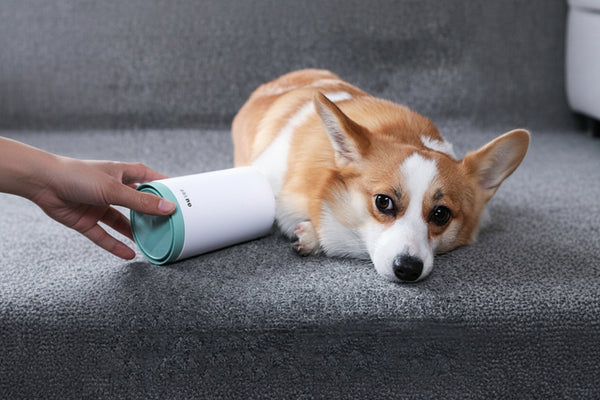 Hunde Pfoten Reiniger